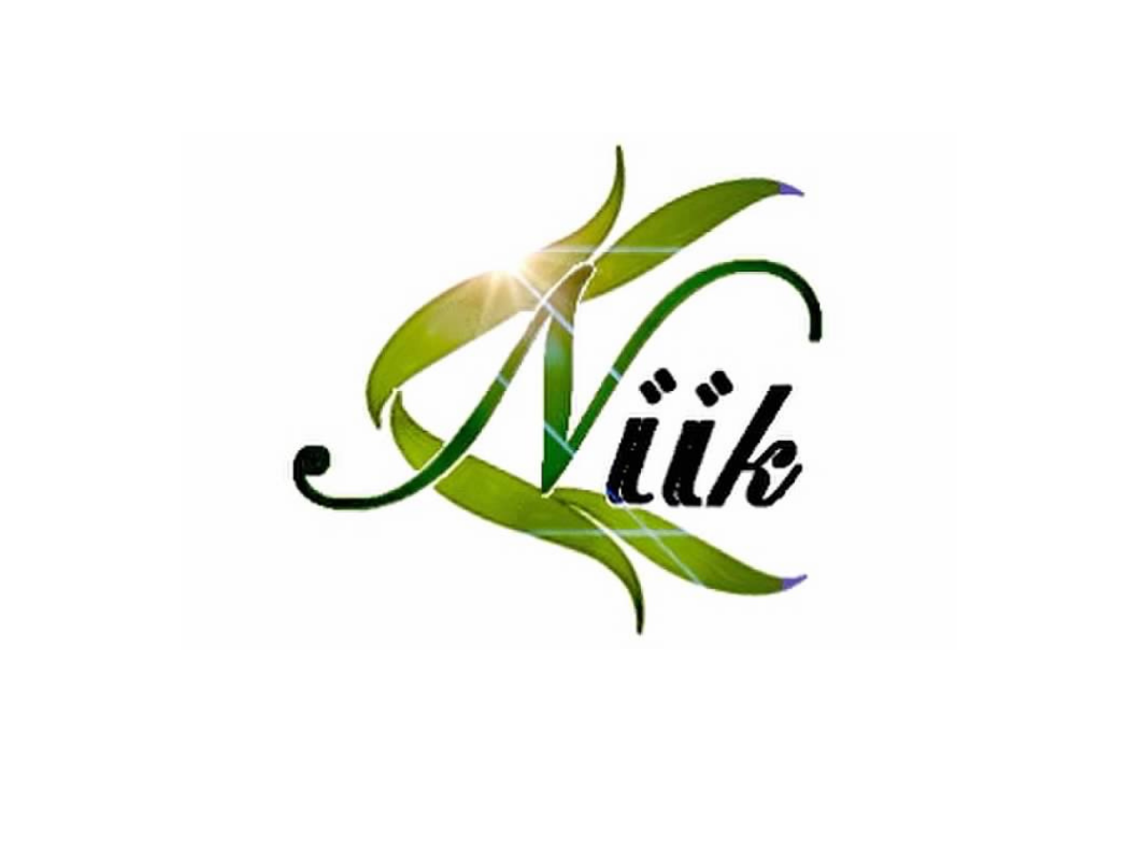 NIIK Products